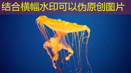 bwin必赢国际官方网站,卫星互联网6g比5g成本低 bwin必赢国际官方网站,卫星互联网6g比5g成本低