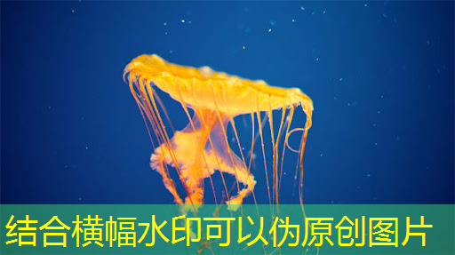bwin必赢,数字化未来:智慧商显管理平台引领新一代商业展示模式 bwin必赢,数字化未来:智慧商显管理平台引领新一代商业展示模式