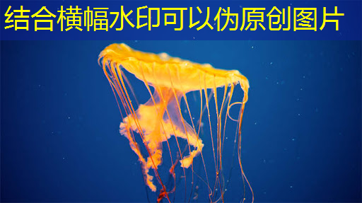 bwin必赢,数拓智慧商显:通过数据分析实现精准广告投放 bwin必赢,数拓智慧商显:通过数据分析实现精准广告投放