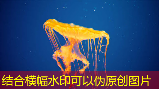 必赢官网,大数据时代商显突围,智慧商显产业创新大会引领行业新风向 必赢官网,大数据时代商显突围,智慧商显产业创新大会引领行业新风向