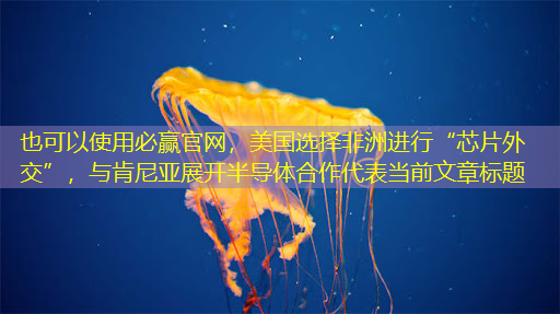 必赢官网,美国选择非洲进行“芯片外交”,与肯尼亚展开半导体合作 必赢官网,美国选择非洲进行“芯片外交”,与肯尼亚展开半导体合作