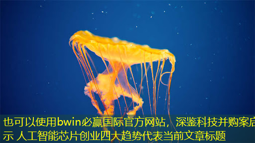 bwin必赢国际官方网站,深鉴科技并购案启示 人工智能芯片创业四大趋势 bwin必赢国际官方网站,深鉴科技并购案启示 人工智能芯片创业四大趋势
