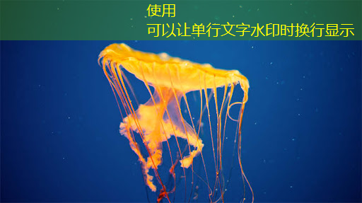 上海市芯片制造与封装电子电镀专题研讨会在上海大学顺利召开! 上海市芯片制造与封装电子电镀专题研讨会在上海大学顺利召开!