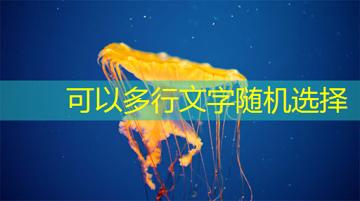 必赢官网,《人工智能芯片技术白皮书(2018)》发布(附下载) 必赢官网,《人工智能芯片技术白皮书(2018)》发布(附下载)