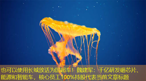 长城放话为国超车!魏建军:千亿研发砸芯片、能源和智能车,核心员工100%持股 长城放话为国超车!魏建军:千亿研发砸芯片、能源和智能车,核心员工100%持股