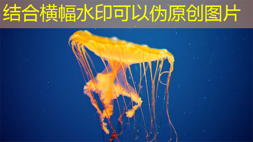 华东师大程亚团队: 面向全自动智能生产的连续流微化工合成芯片 华东师大程亚团队: 面向全自动智能生产的连续流微化工合成芯片