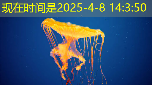 bwin必赢国际官方网站,什么是通讯芯片?常见的通讯芯片有什么? bwin必赢国际官方网站,什么是通讯芯片?常见的通讯芯片有什么?