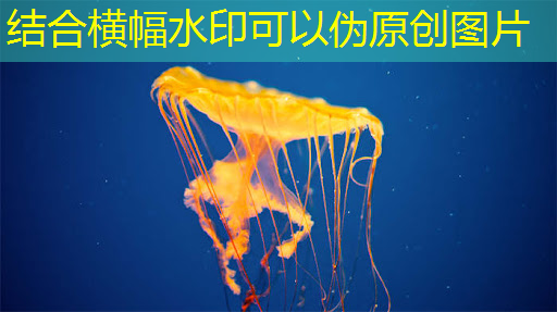 bwin必赢在线登录入口,AI算力:2024 ASIC芯片研究 bwin必赢在线登录入口,AI算力:2024 ASIC芯片研究