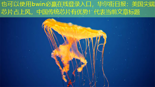 bwin必赢在线登录入口,华尔街日报:美国尖端芯片占上风,中国传统芯片有优势! bwin必赢在线登录入口,华尔街日报:美国尖端芯片占上风,中国传统芯片有优势!
