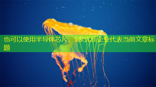 半导体芯片，5家优质企业