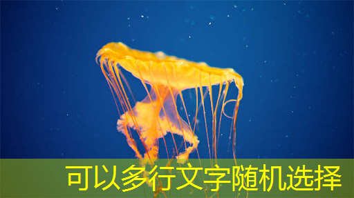 必赢官网，如何选择合适的射频芯片：选型指南与建议
