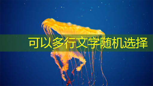 bwin必赢在线登录入口，基于架构创新，后摩智能点亮业内首款存算一体大算力AI芯片