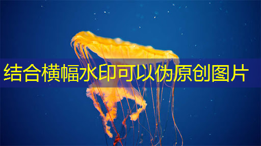 bwin必赢国际官方网站,【毫米波传感器】采用单芯片毫米波传感器实现前沿的智能自主 bwin必赢国际官方网站,【毫米波传感器】采用单芯片毫米波传感器实现前沿的智能自主