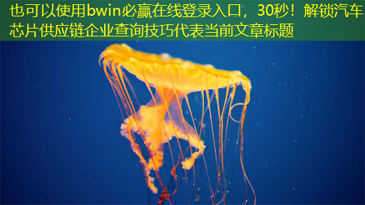 bwin必赢在线登录入口，30秒！解锁汽车芯片供应链企业查询技巧