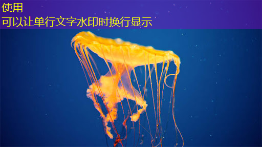 bwin必赢在线登录入口，中科院唯一认证的芯片+人形机器人霸主，或将1000%增长
