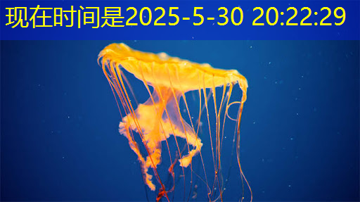 bwin必赢在线登录入口，最全集成电路、半导体芯片板块投资标的及独家资料（收藏帖）
