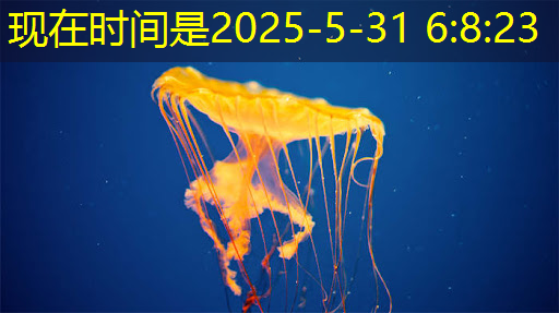 bwin必赢,上海市芯片制造与封装电子电镀专题研讨会在上海大学顺利召开! bwin必赢,上海市芯片制造与封装电子电镀专题研讨会在上海大学顺利召开!