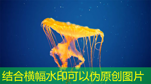集成纸基微流芯片传感器的隐形眼镜用于泪液原位分析 集成纸基微流芯片传感器的隐形眼镜用于泪液原位分析