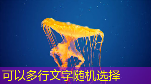bwin必赢,ASIC芯片王者!垄断45%市场份额,大厂抛弃GPU,下一个常山北明? bwin必赢,ASIC芯片王者!垄断45%市场份额,大厂抛弃GPU,下一个常山北明?