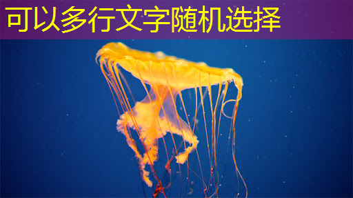 bwin必赢在线登录入口,中国DeepSeek一炮而红,芯片股大跌 bwin必赢在线登录入口,中国DeepSeek一炮而红,芯片股大跌