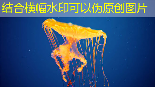 智慧城市设计咨询费多少 智慧城市设计咨询费多少