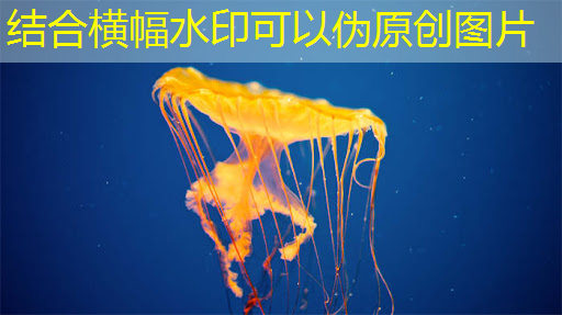 数字化转型加速，智能商显成为智慧社区新利器！