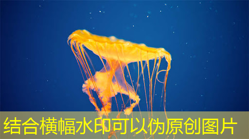 「智慧生活新选择」LCD智慧商显构建智能化家居系统 「智慧生活新选择」LCD智慧商显构建智能化家居系统
