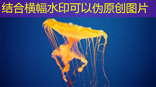 广告业智慧升级,参与智慧商显产业创新大会揭开行业新篇章 广告业智慧升级,参与智慧商显产业创新大会揭开行业新篇章