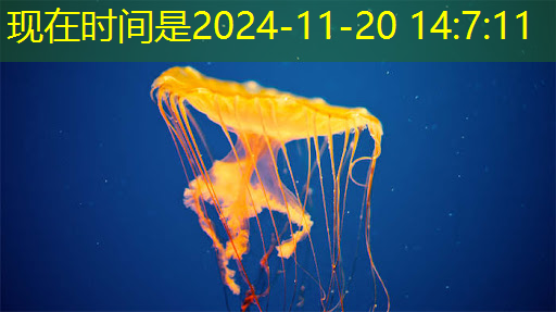 数字化未来:智慧商显管理平台引领新一代商业展示模式 数字化未来:智慧商显管理平台引领新一代商业展示模式