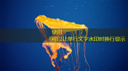 智慧商显产业创新大会盛大开启，引领商业信息化新时代