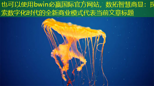 数拓智慧商显：探索数字化时代的全新商业模式
