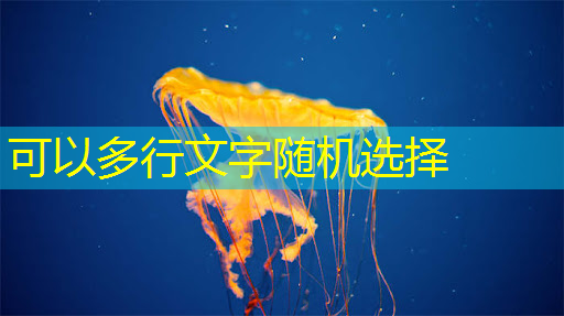 大数据时代商显突围,智慧商显产业创新大会引领行业新风向 大数据时代商显突围,智慧商显产业创新大会引领行业新风向