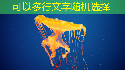 Meta的人工智能主管LeCun表示,下一代人工智能需要情感来设定目标和把握后果;AMD的软件困境使英伟达在AI芯片市场无可匹敌 Meta的人工智能主管LeCun表示,下一代人工智能需要情感来设定目标和把握后果;AMD的软件困境使英伟达在AI芯片市场无可匹敌