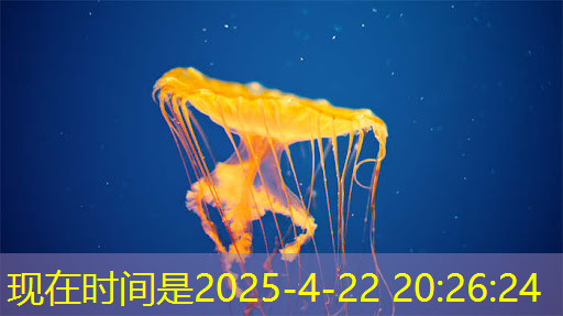 传感器|来自德国弗劳恩霍夫研究所的研究人员开发出可直接集成在芯片上的颜色传感器,具有包括可调LED在内的多种功能,成本更低 传感器|来自德国弗劳恩霍夫研究所的研究人员开发出可直接集成在芯片上的颜色传感器,具有包括可调LED在内的多种功能,成本更低